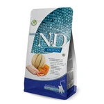ND אושן קוד דלעת מלון חתול גור 1.5 קג