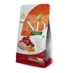 ND אנסס דלעת שליו חתול מסורס